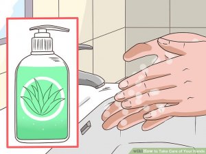 Image titled Take Care of Your Hands Step 1